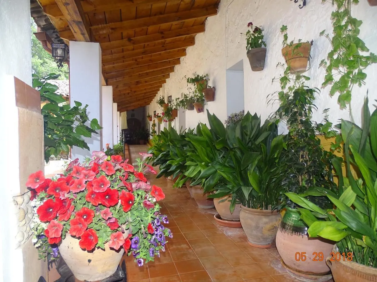 Hotel La Hortizuela Coto Rios